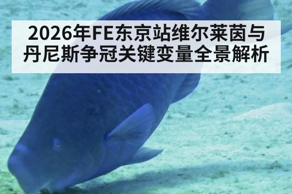2026年FE东京站维尔莱茵与丹尼斯争冠关键变量全景解析